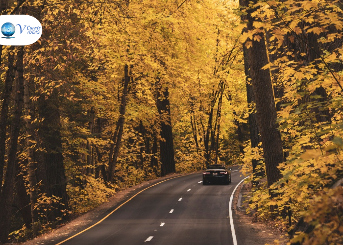 Why Fall Is Made for Road Trips
